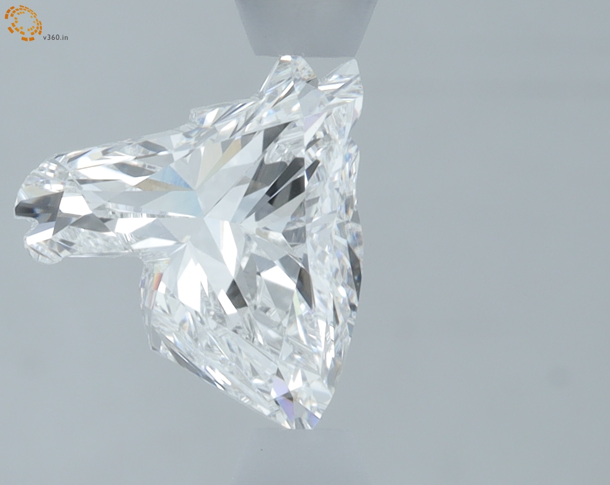 1.25 carat Horse lab grown diamond, E VVS2, IGI certified