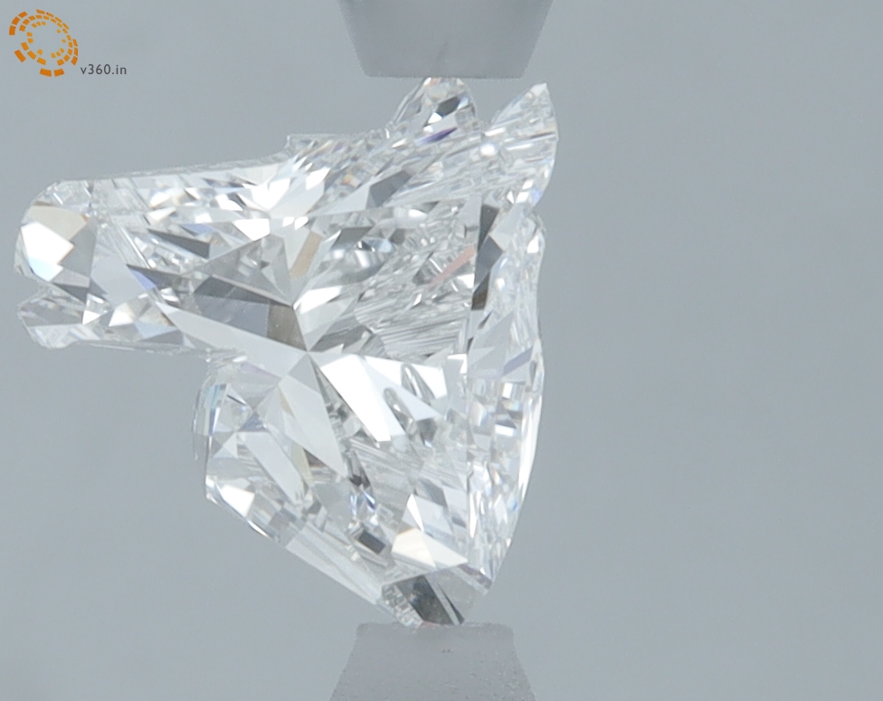 1.24 carat Horse lab grown diamond, F VS1, IGI certified