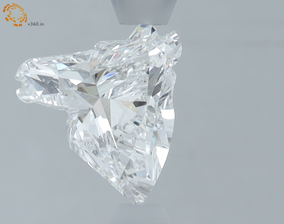 1.22 carat Horse lab grown diamond, F VS1, IGI certified